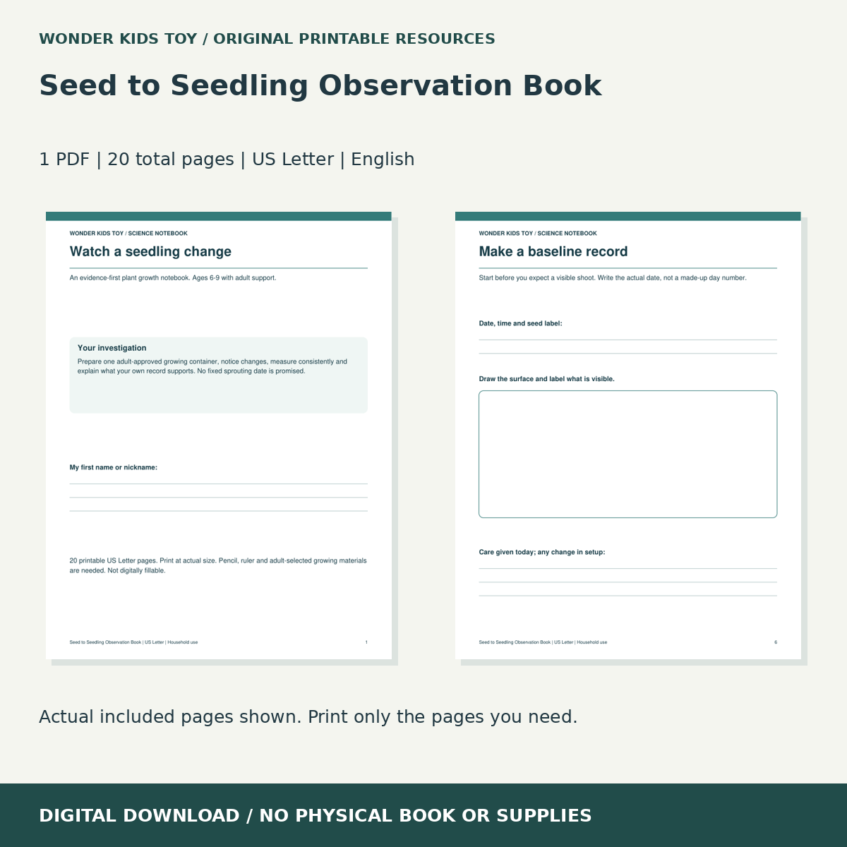 Seed to Seedling Observation Book: actual included PDF previews, 20 total pages, US Letter digital download