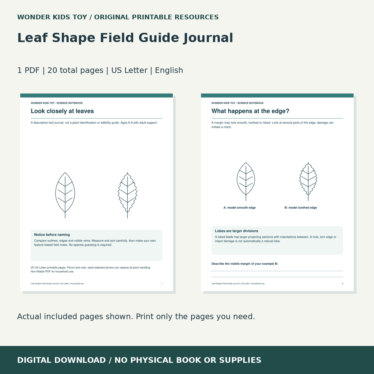 Leaf Shape Field Guide Journal: actual included PDF previews, 20 total pages, US Letter digital download