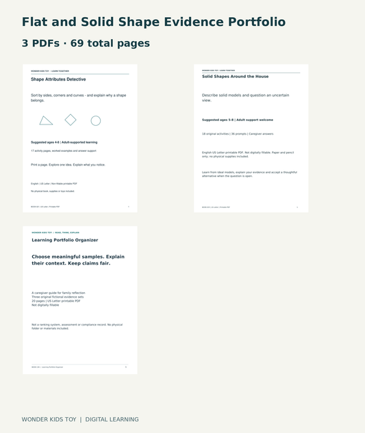 Flat and Solid Shape Evidence Portfolio: actual included PDF covers