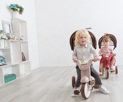 Smart Living, Joyful Riding: SS Tricycle with UV Canopy! 🚲☀️