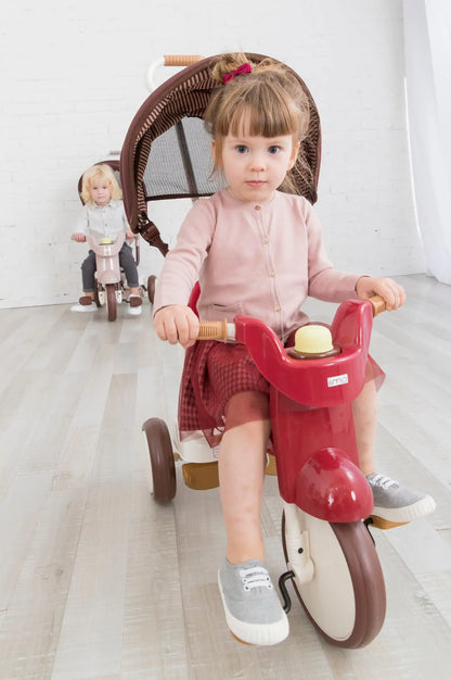 Smart Living, Joyful Riding: SS Tricycle with UV Canopy! 🚲☀️