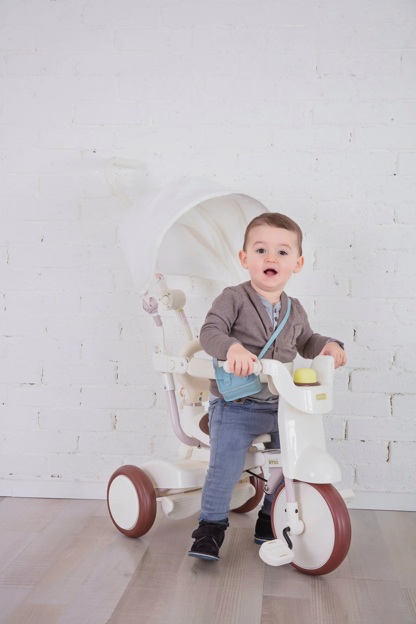 Smart Living, Joyful Riding: SS Tricycle with UV Canopy! 🚲☀️