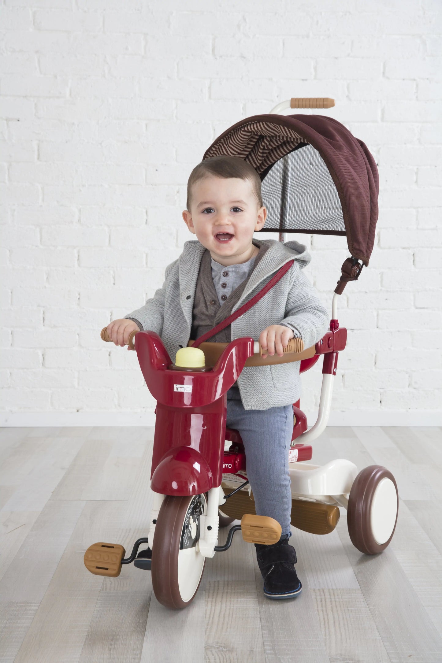 Smart Living, Joyful Riding: SS Tricycle with UV Canopy! 🚲☀️