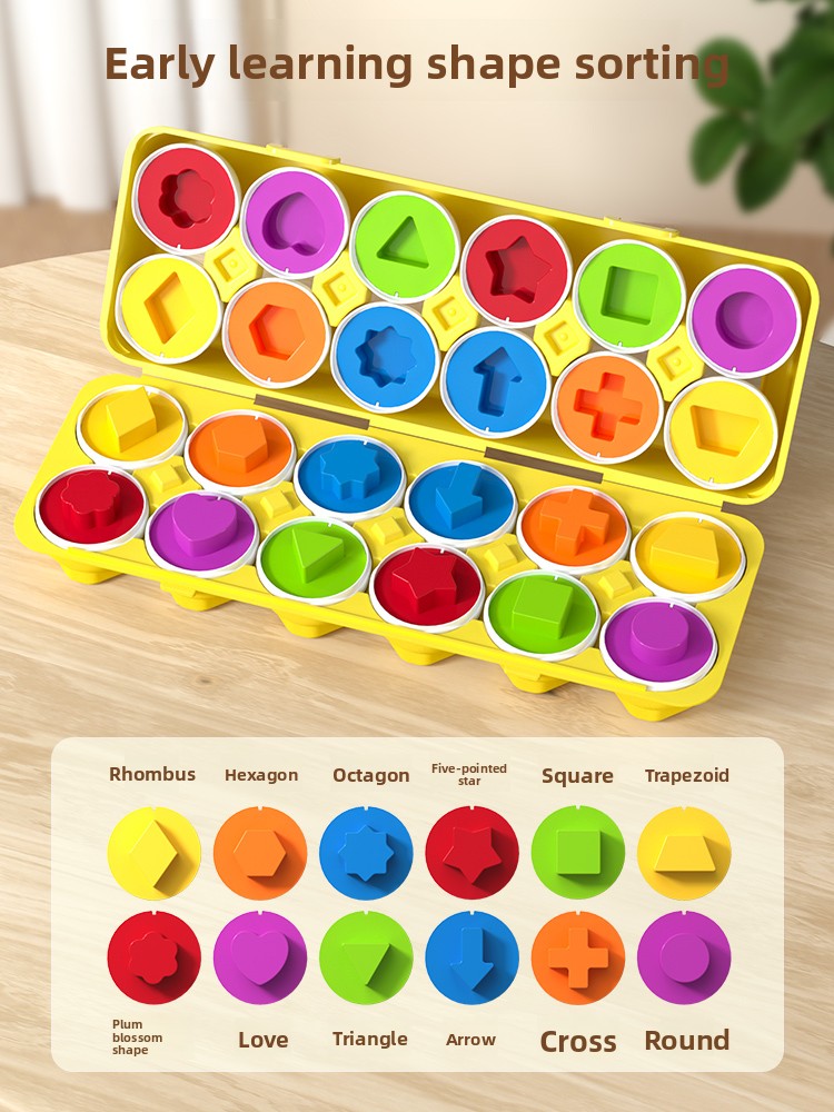 Shape Matching Eggs Learning Toy