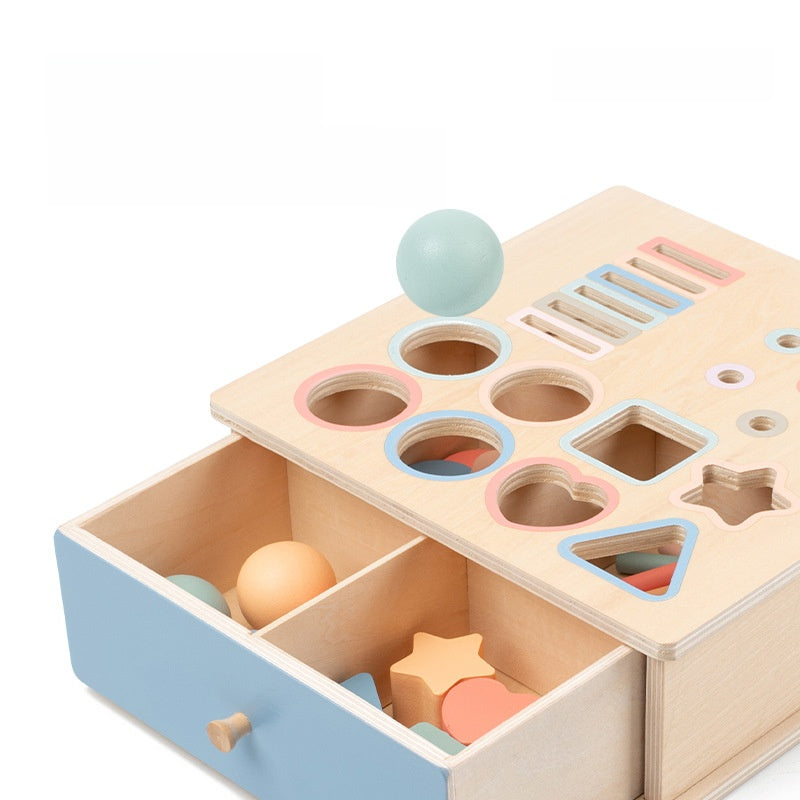 Montessori Shape and Color Matching Toy