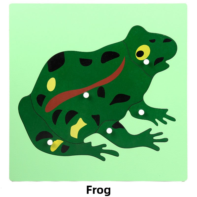 Montessori Biology Puzzle Boards for Curious Kids