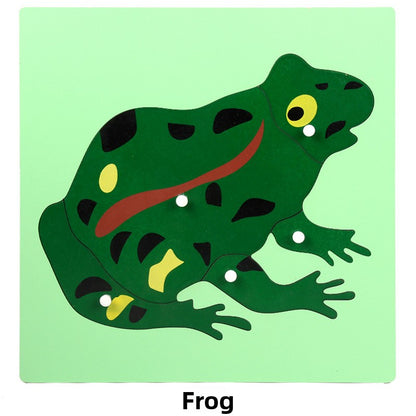 Montessori Biology Puzzle Boards for Curious Kids