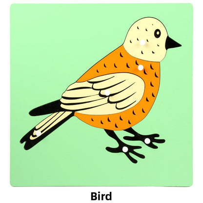 Montessori Biology Puzzle Boards for Curious Kids
