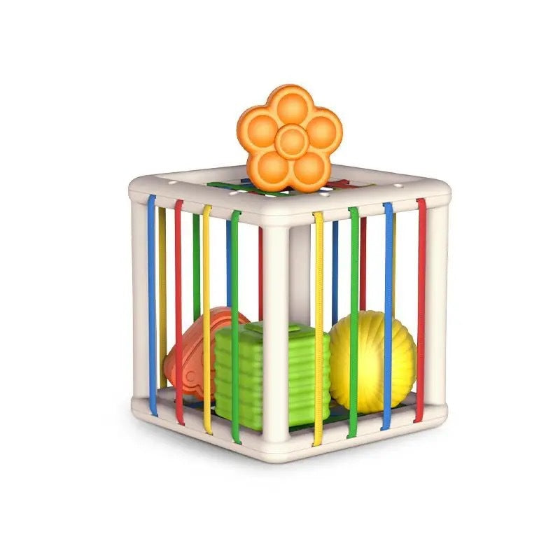 Fruit Rainbow Sensory Toy for Kids
