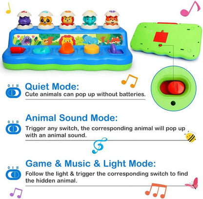 Pop up Animal Toys 9-12-18 Months with Music & Light, Montessori Cause and Effect Toys for 1 Year Old Boy Girl, Early Learning Toys STEM Toddler Toys Age 1-2 Gift