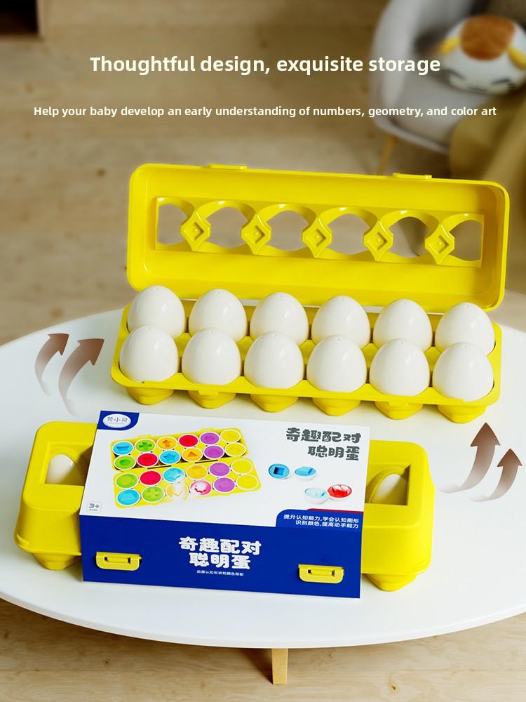 Shape Matching Eggs Learning Toy