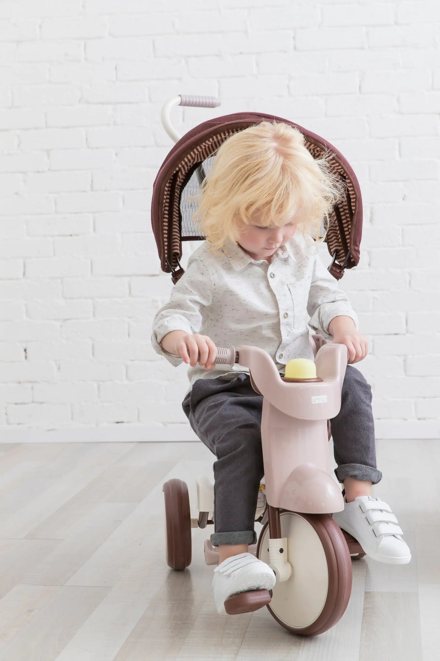 Smart Living, Joyful Riding: SS Tricycle with UV Canopy! 🚲☀️