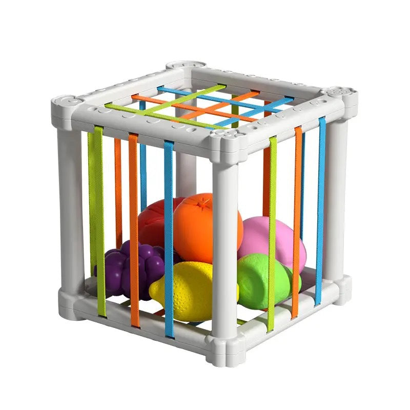 Shape Sorting Educational Toy Set for Kids