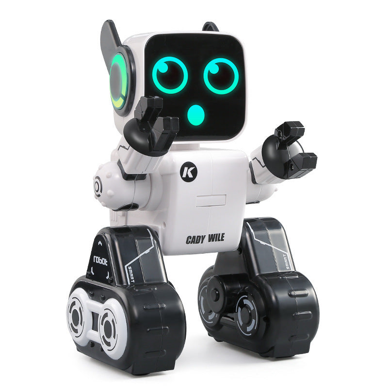 Interactive Programming Robot for Kids