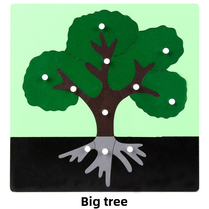 Montessori Biology Puzzle Boards for Curious Kids