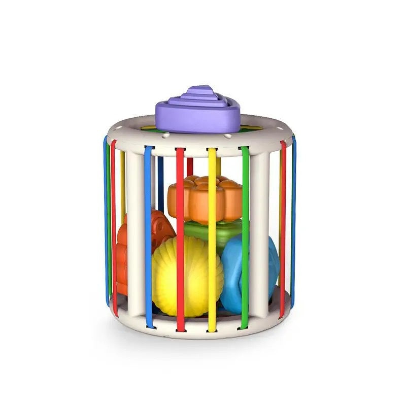 Shape Sorting Educational Toy Set for Kids