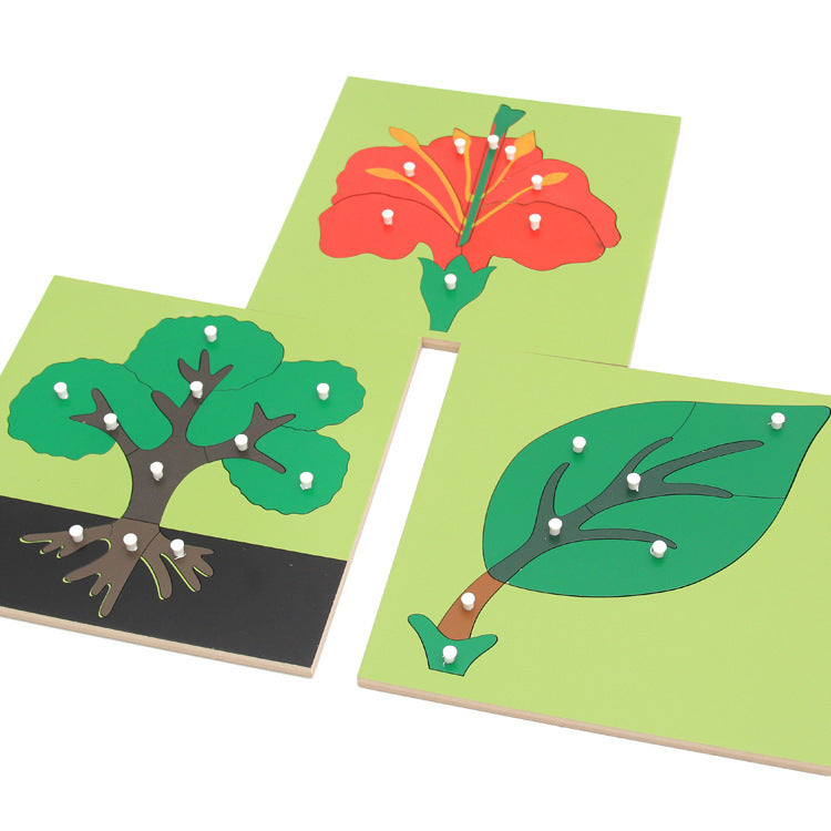 Montessori Biology Puzzle Boards for Kids