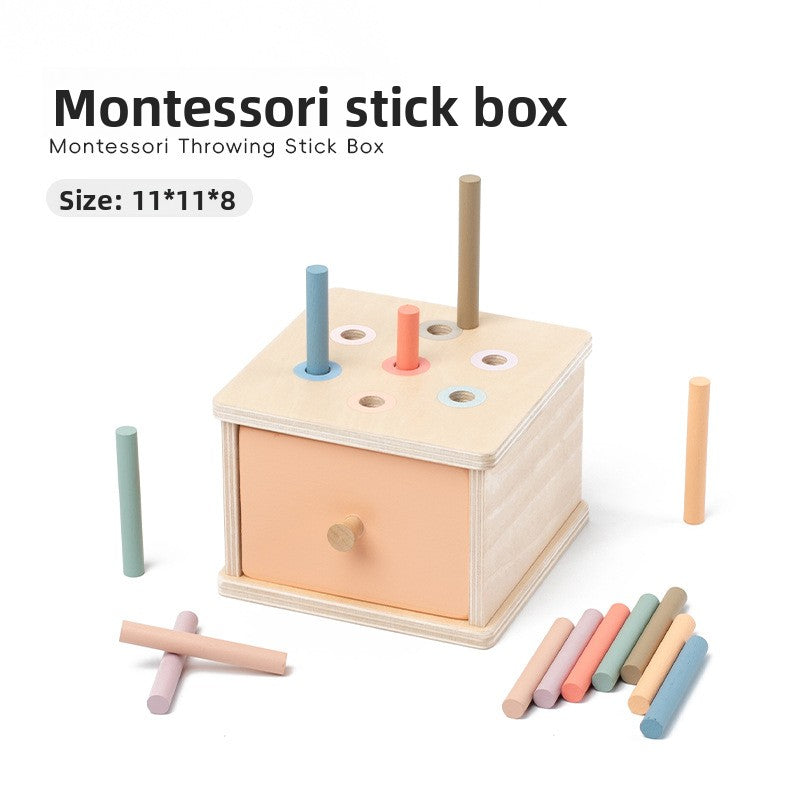 Montessori Shape and Color Matching Toy Stick Insert