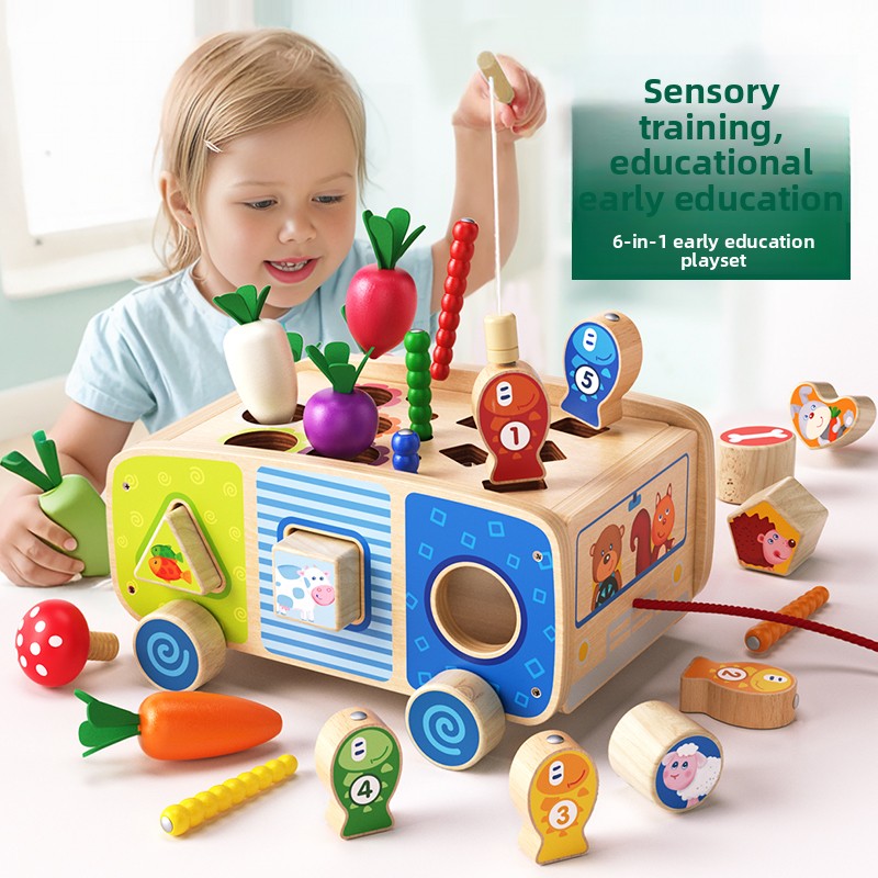 Montessori Wooden Educational Toy Set