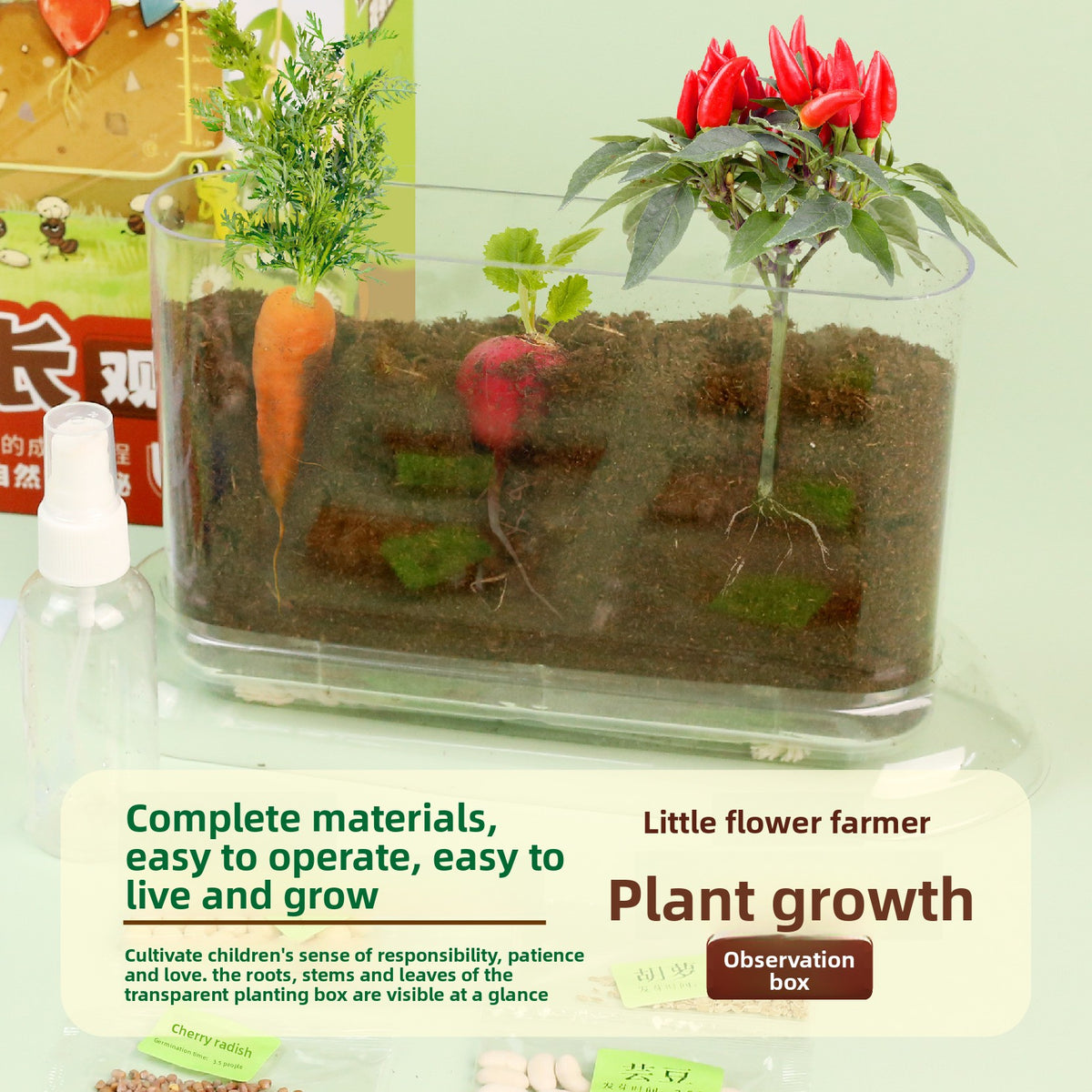 Plant Root Growth Observation Kit for Kids – Clear Planter