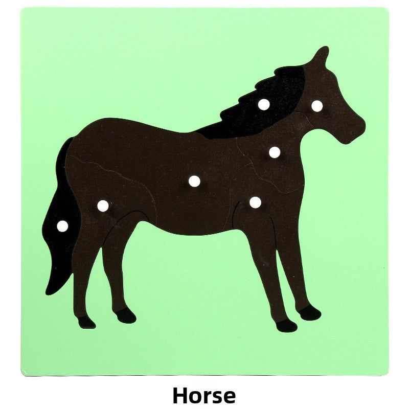 Montessori Biology Puzzle Boards for Curious Kids