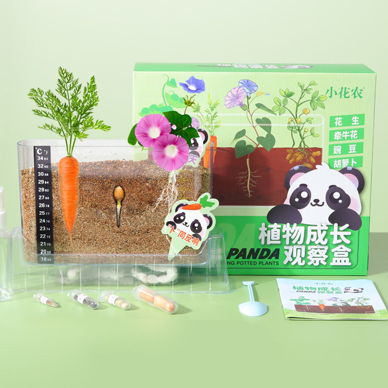Plant Root Growth Observation Kit for Kids – Clear Planter