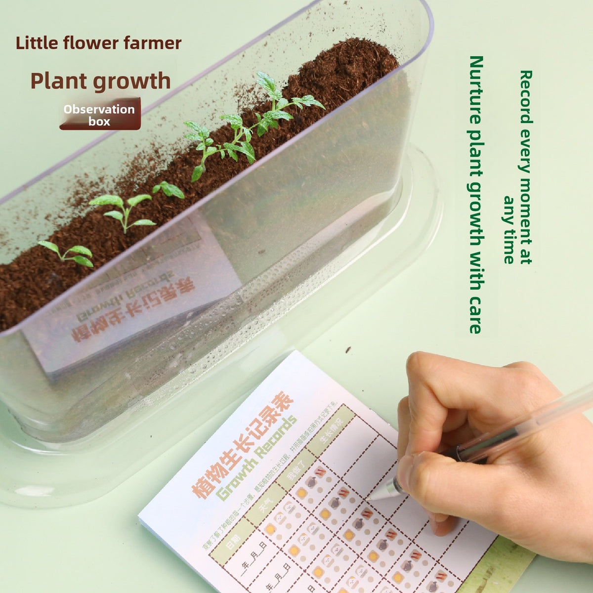Plant Root Growth Observation Kit for Kids – Clear Planter