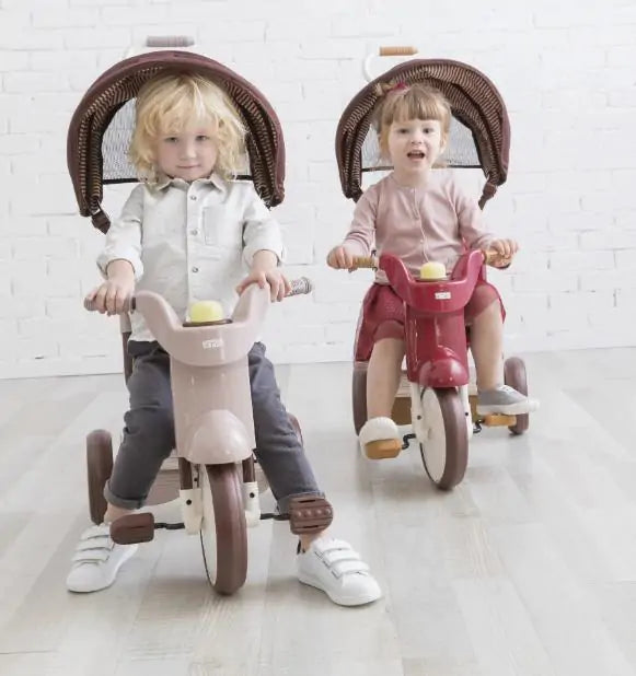 Smart Living, Joyful Riding: SS Tricycle with UV Canopy! 🚲☀️