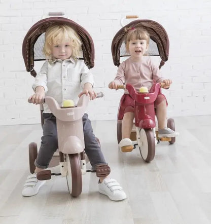 Smart Living, Joyful Riding: SS Tricycle with UV Canopy! 🚲☀️