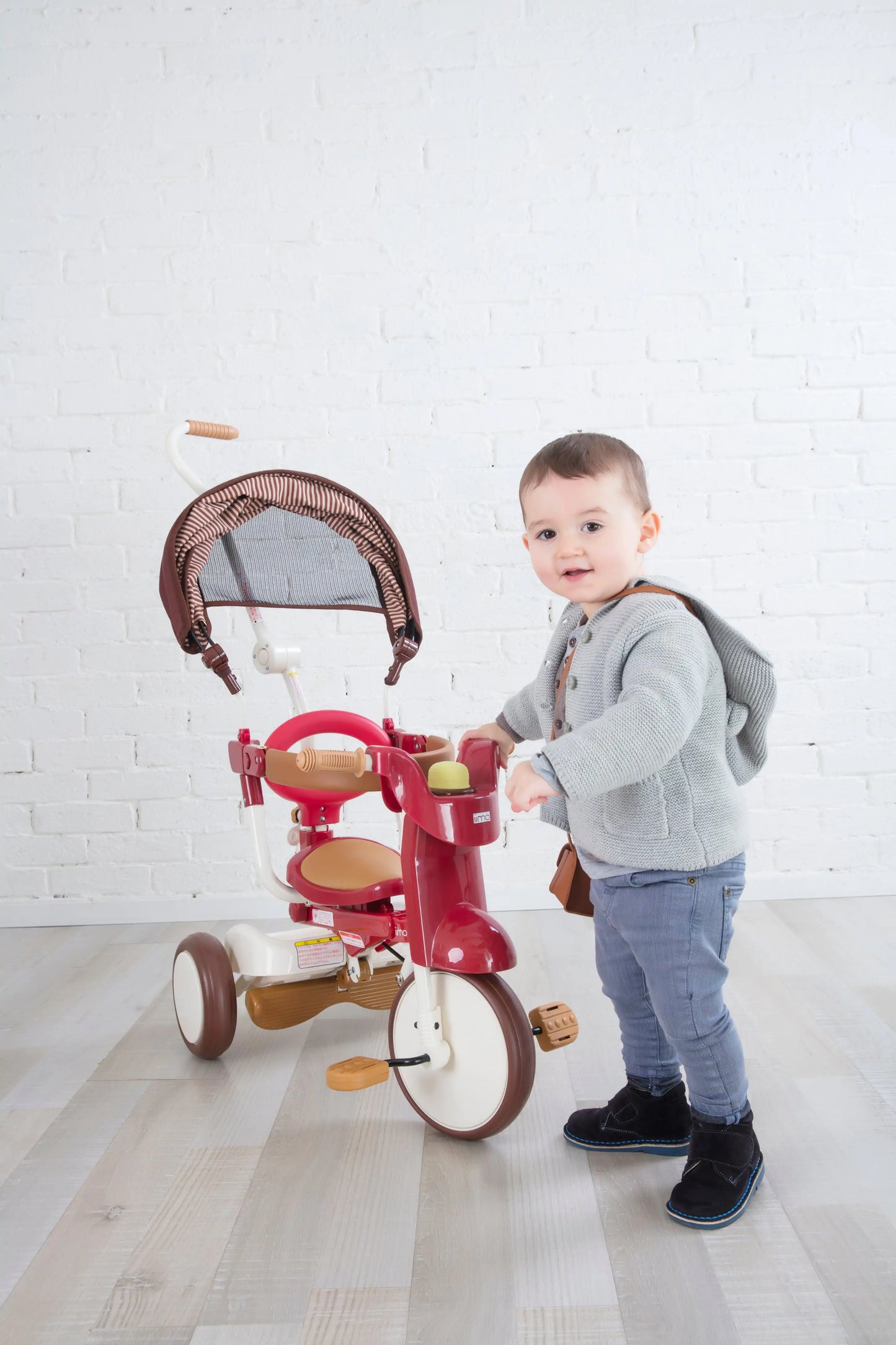 Smart Living, Joyful Riding: SS Tricycle with UV Canopy! 🚲☀️