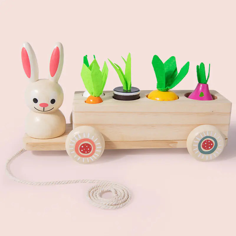 Cast & Catch: Wooden Magnetic Fishing Toy for Early Education! 🎣🌳