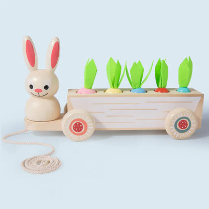 Cast & Catch: Wooden Magnetic Fishing Toy for Early Education! 🎣🌳