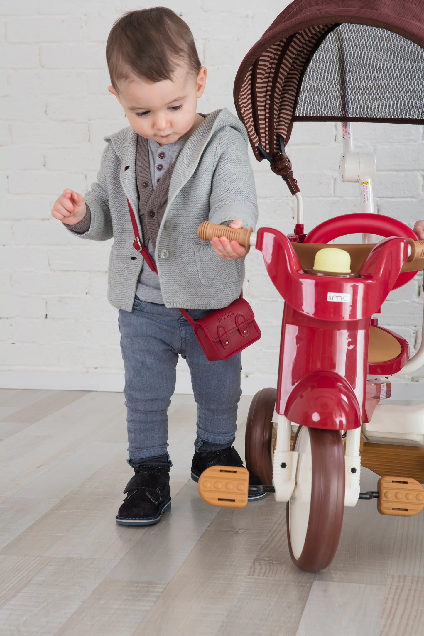 Smart Living, Joyful Riding: SS Tricycle with UV Canopy! 🚲☀️