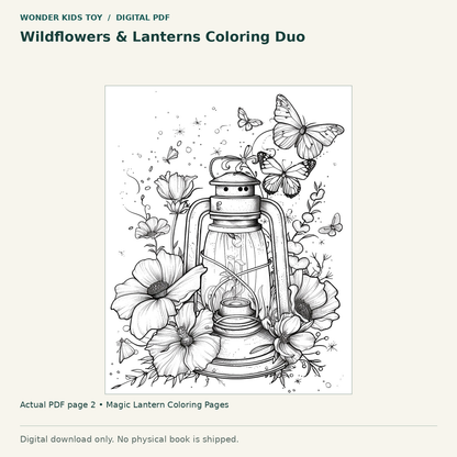 Wildflowers & Lanterns Coloring Duo: actual page 2 from Magic Lantern Coloring Pages. Digital only; no physical book.