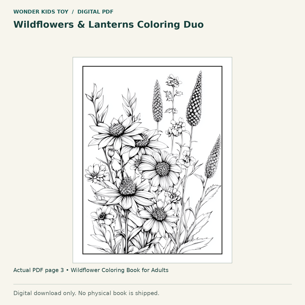 Wildflowers & Lanterns Coloring Duo: actual page 3 from Wildflower Coloring Book for Adults. Digital only; no physical book.