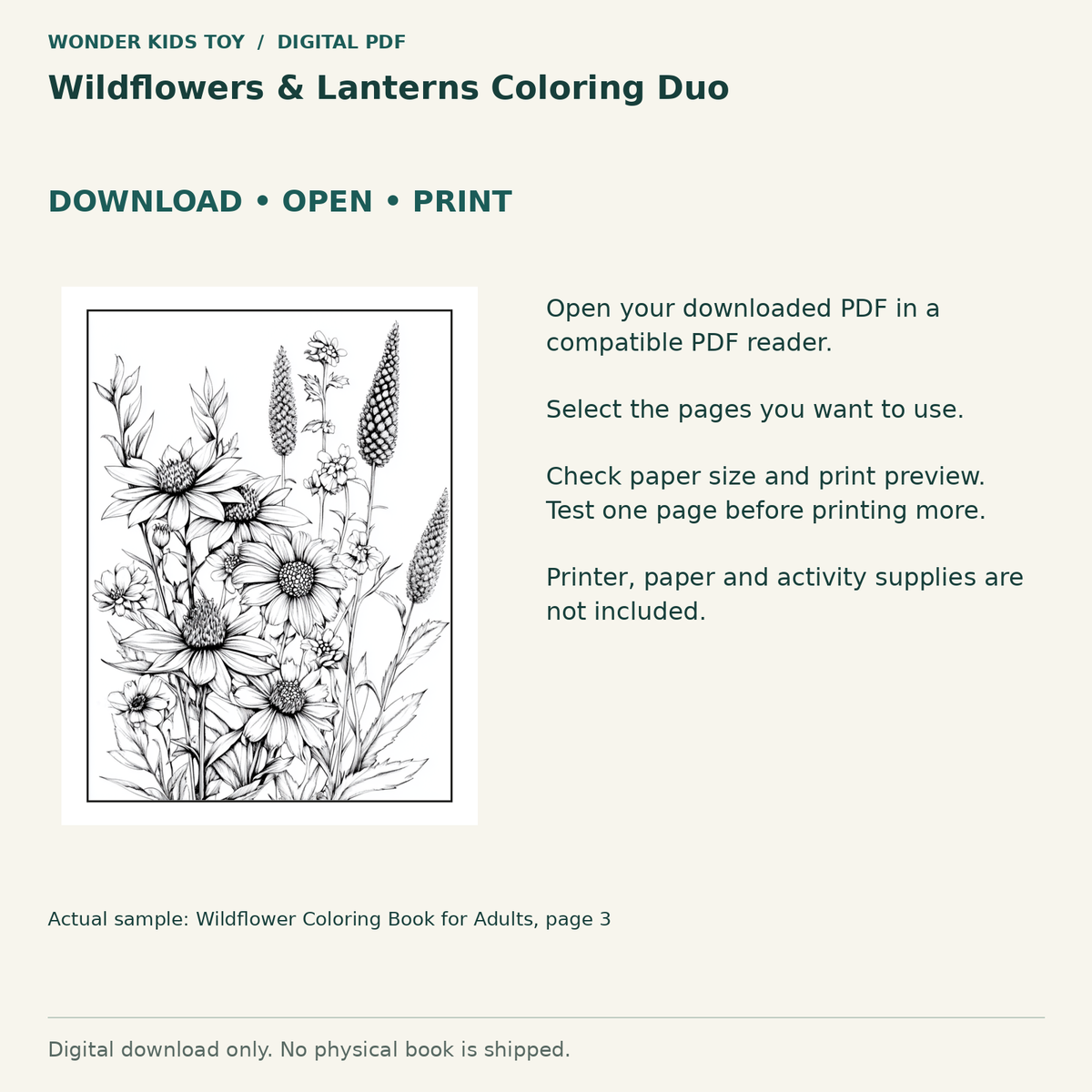 Wildflowers & Lanterns Coloring Duo: Download, open and print guidance with an actual PDF page preview. Digital only; no physical book.