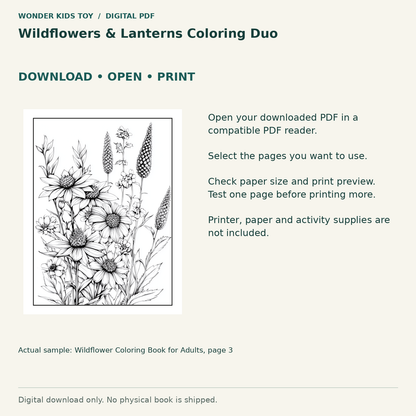 Wildflowers & Lanterns Coloring Duo: Download, open and print guidance with an actual PDF page preview. Digital only; no physical book.