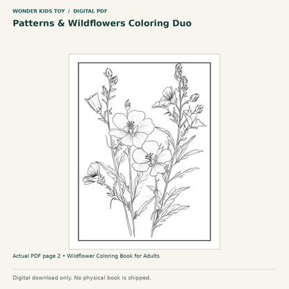 Patterns & Wildflowers Coloring Duo: actual page 2 from Wildflower Coloring Book for Adults. Digital only; no physical book.