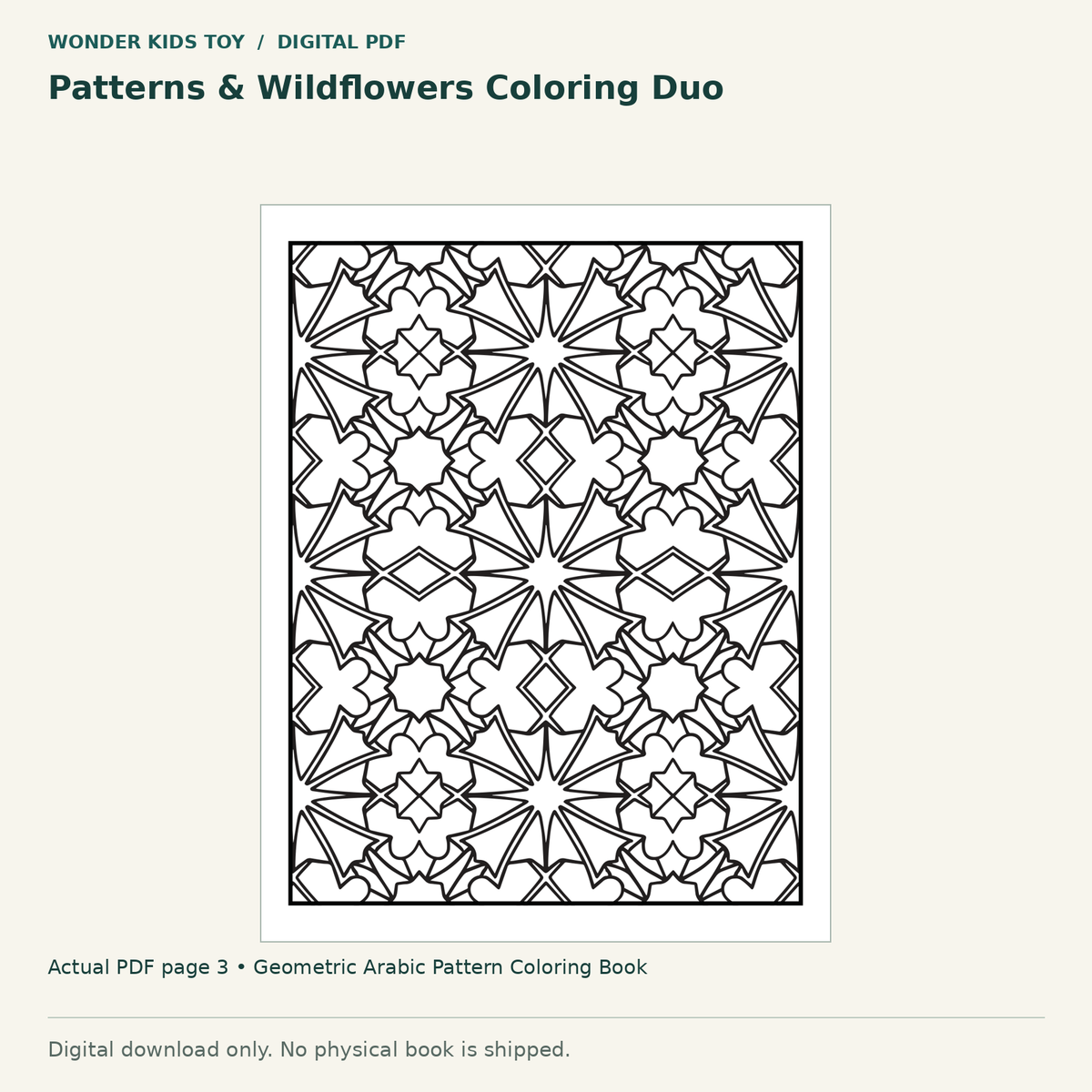 Patterns & Wildflowers Coloring Duo: actual page 3 from Geometric Arabic Pattern Coloring Book. Digital only; no physical book.