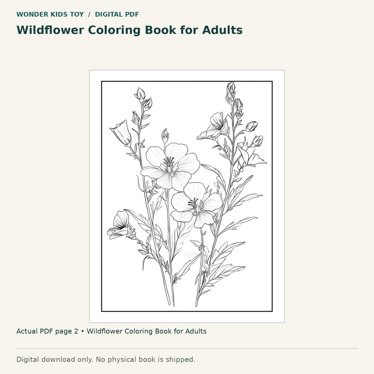 Wildflower Coloring Book for Adults: actual page 2 from Wildflower Coloring Book for Adults. Digital only; no physical book.