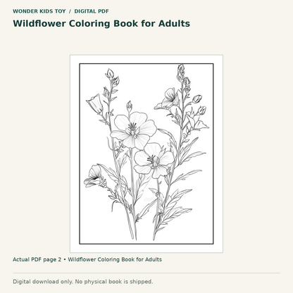 Wildflower Coloring Book for Adults: actual page 2 from Wildflower Coloring Book for Adults. Digital only; no physical book.