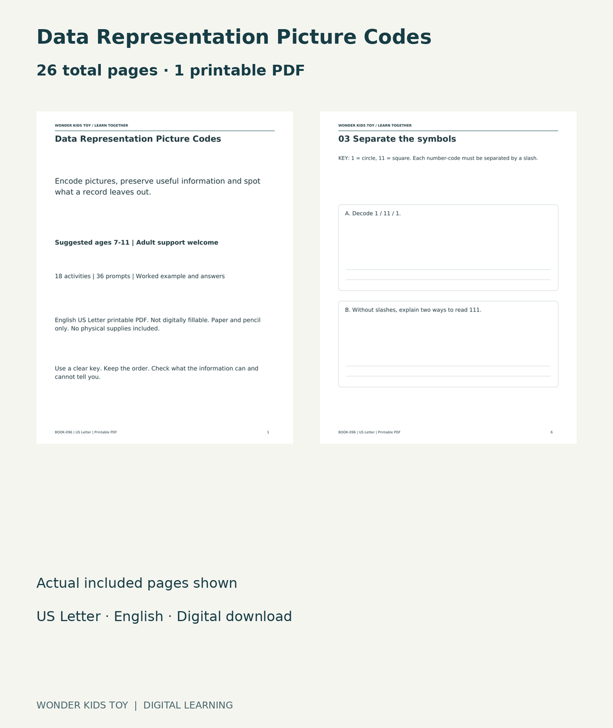 Data Representation Picture Codes: actual included PDF cover and page 6, 26 total pages