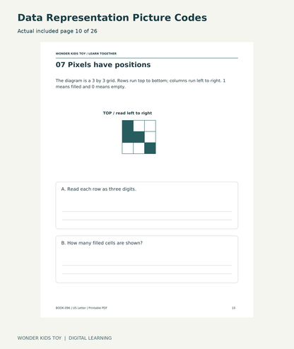 Data Representation Picture Codes: actual included PDF page 10 of 26