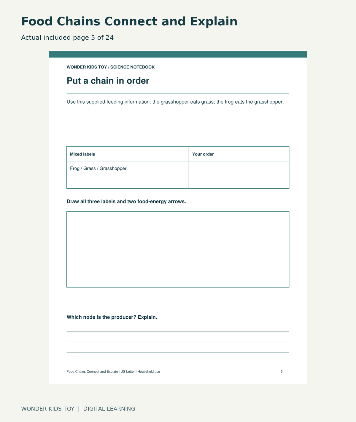 Food Chains Connect and Explain: actual included PDF page 5 of 24