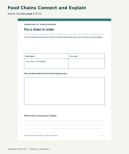 Food Chains Connect and Explain: actual included PDF page 5 of 24