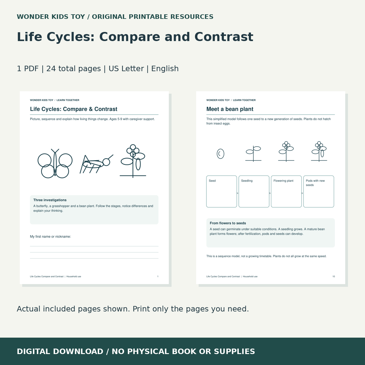Life Cycles: Compare and Contrast: actual included PDF previews, 24 total pages, US Letter digital download