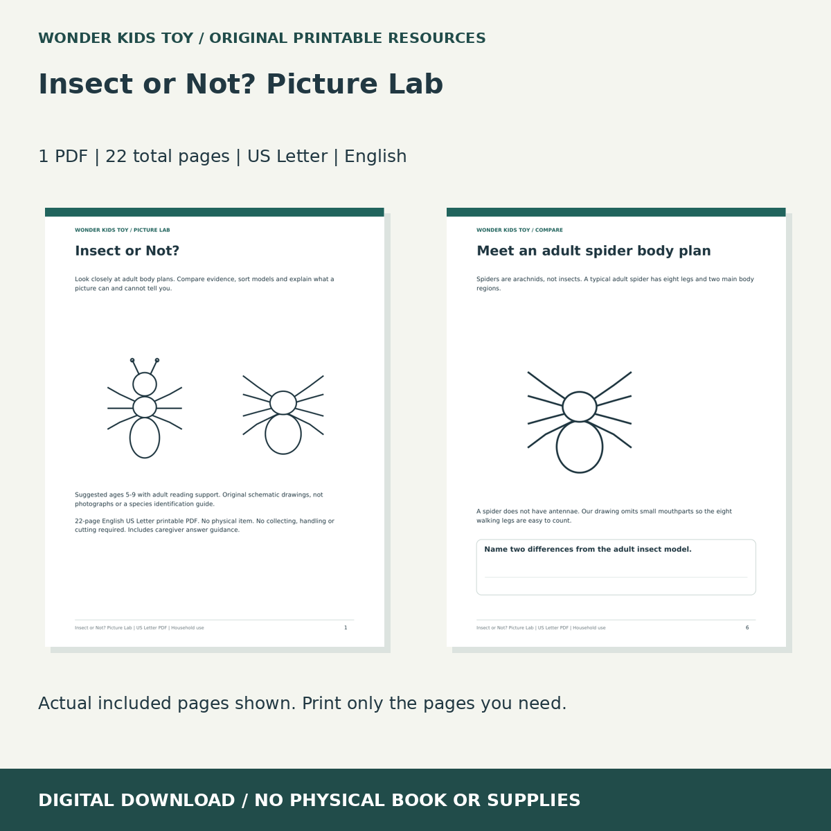 Insect or Not? Picture Lab: actual included PDF previews, 22 total pages, US Letter digital download