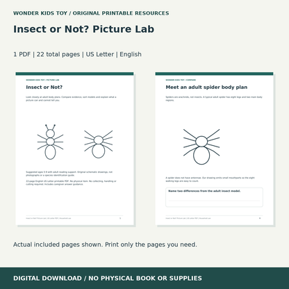 Insect or Not? Picture Lab: actual included PDF previews, 22 total pages, US Letter digital download