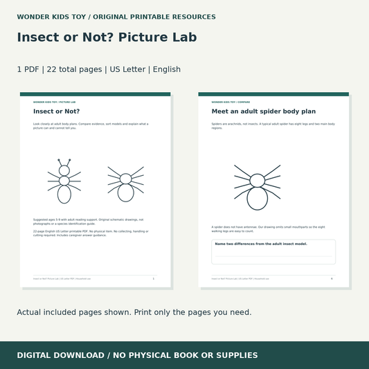 Insect or Not? Picture Lab: actual included PDF previews, 22 total pages, US Letter digital download