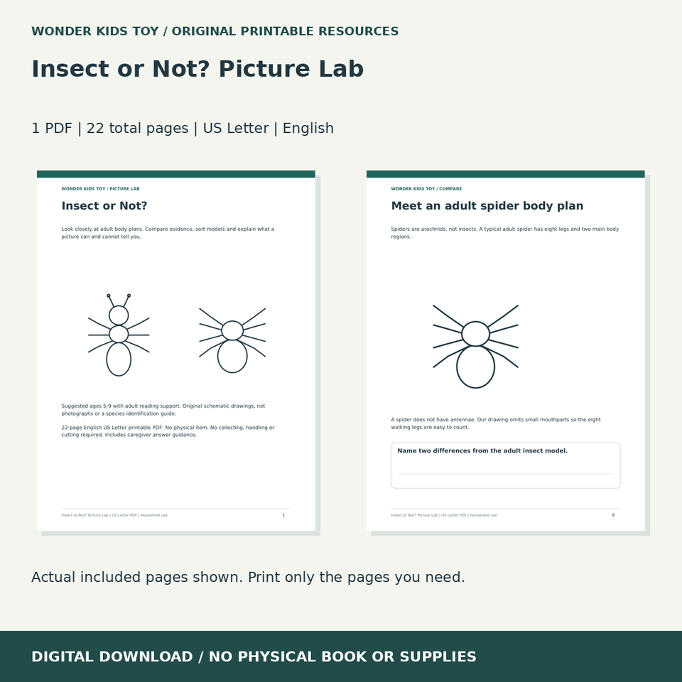 Insect or Not? Picture Lab: actual included PDF previews, 22 total pages, US Letter digital download